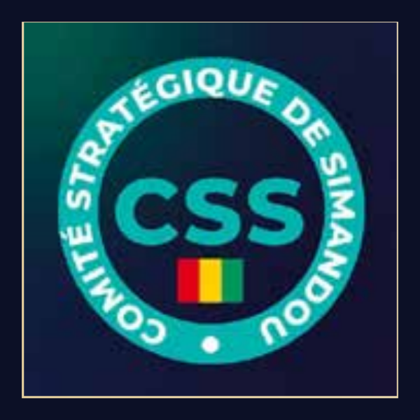 Comité Stratégique de Simandou